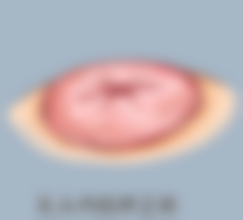 深圳诺德齿科连锁口腔收费价格表