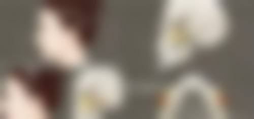 陈朗医生技术优势