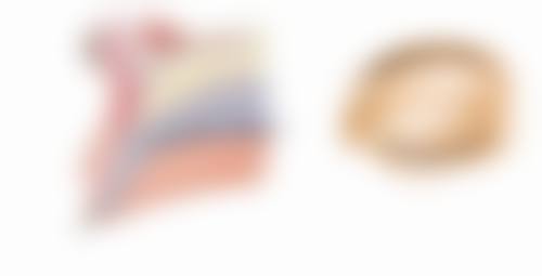 虎珂医生技术优势