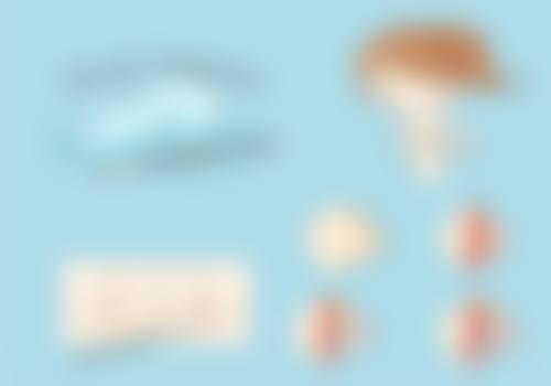 亚明宏医生项目收费价格