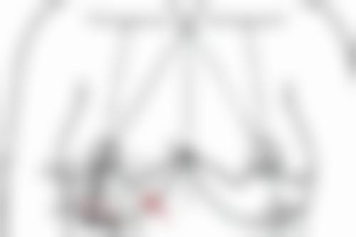 哈尔滨医 科 大学附属第二医院医生团队介绍