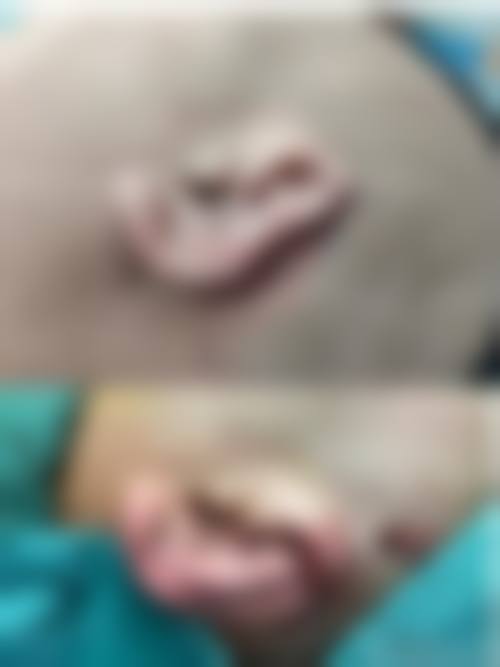 十堰淑梅娅韩医疗美容诊所特色诊疗项目与技术优势