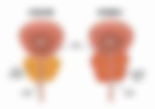 卢植生医生预约挂号