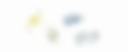 任丹丽副医生社会兼职