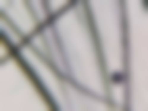 祁强医生预约挂号