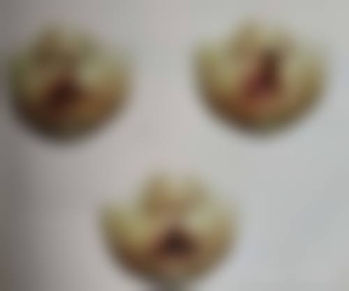 褚燕军 医生执医荣誉