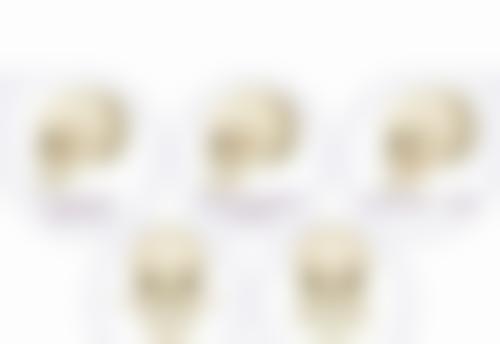 张瑞雨(北京市昌平区中医和西医结合医院)医生项目收费价格