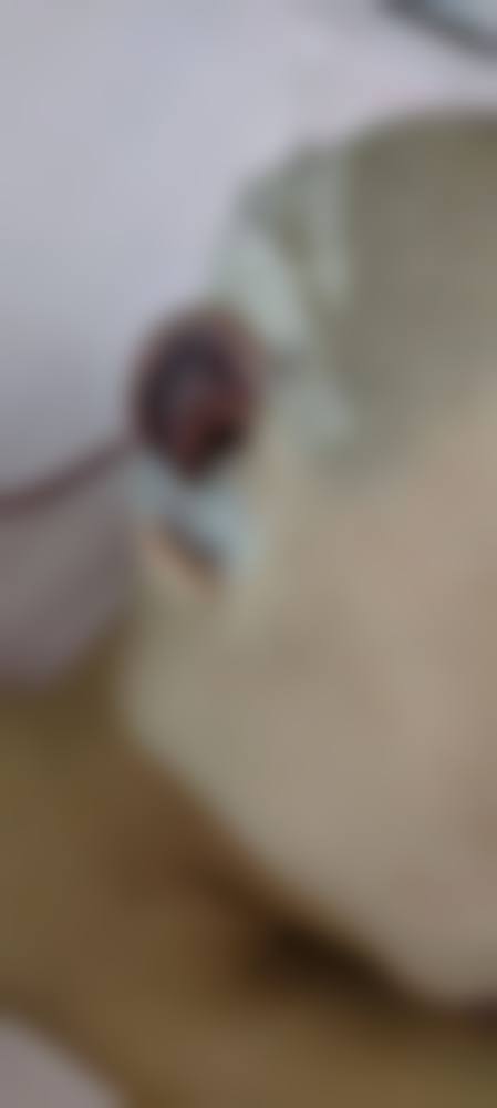 十堰维纳斯整形特色诊疗项目与技术优势