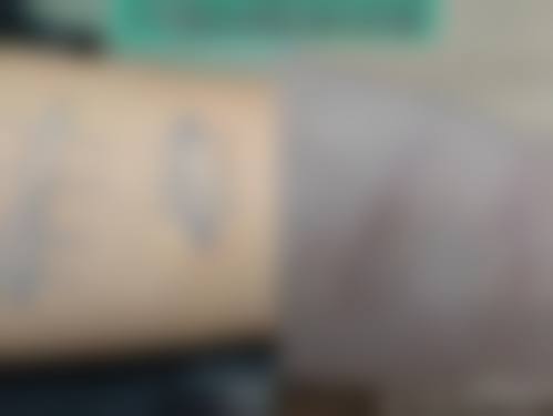 刘国锋医生技术优势