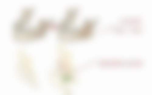 天津申伊童颜医疗美容诊所特色诊疗项目与技术优势