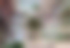 佳木斯中 心医院烧伤整形外科医生团队介绍