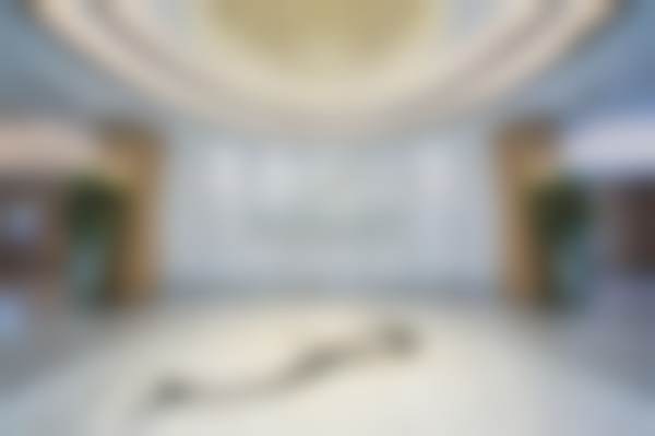 徐平医生预约挂号