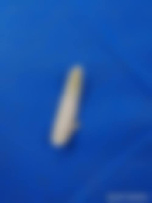 周立意医生技术优势