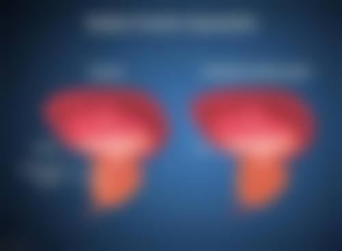 杨光华医生口碑评价及反馈内容