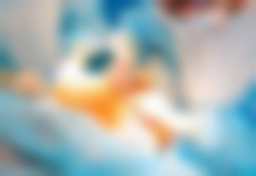 黎明武医生技术优势