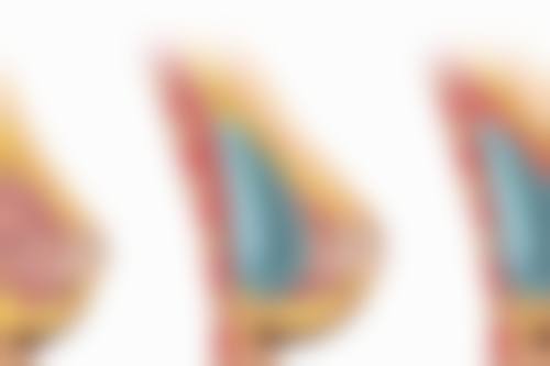 上海解放军第四五五医院激光整形科医生团队介绍