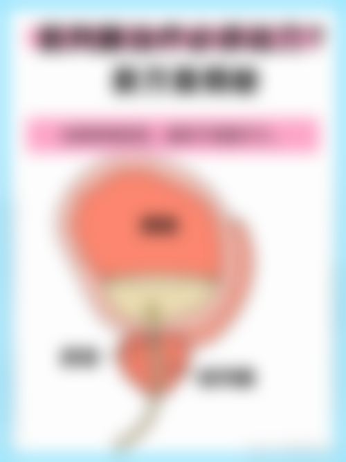 陈卫华医生预约挂号