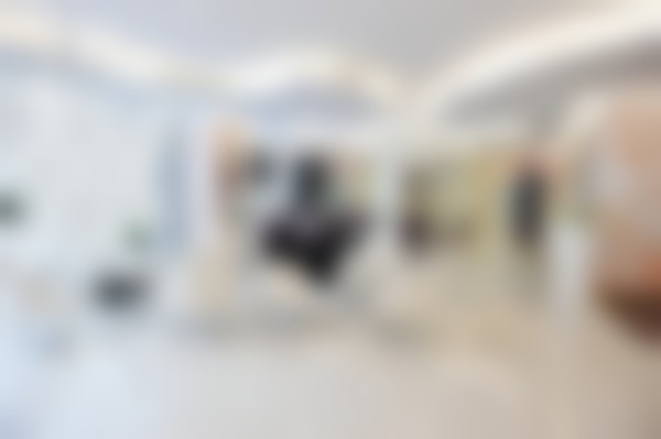 赵江辉医生执医荣誉