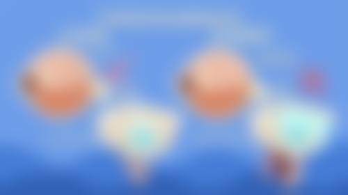 赫雪飞医生执医荣誉