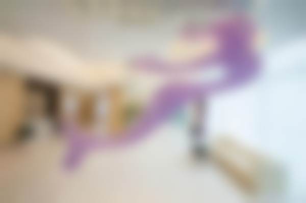 贺建平医生预约挂号