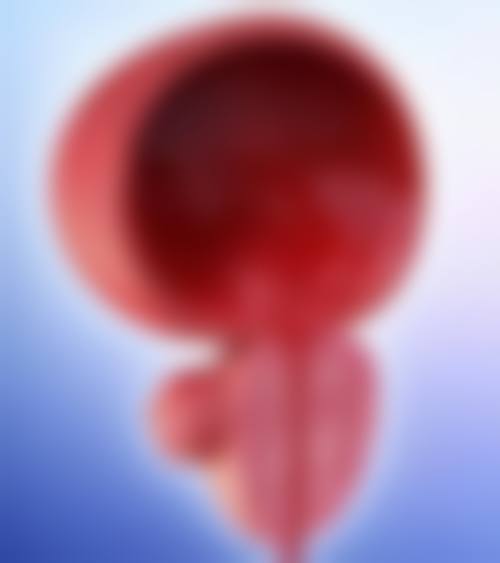 陈卫华医生口碑评价及反馈内容