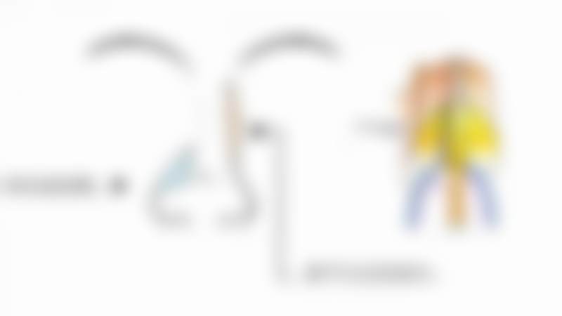 胡立医生预约挂号