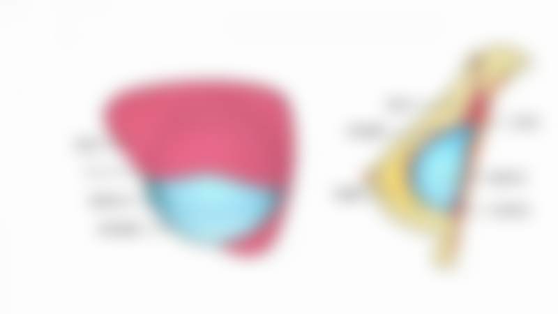 吴丽丽医生执医荣誉