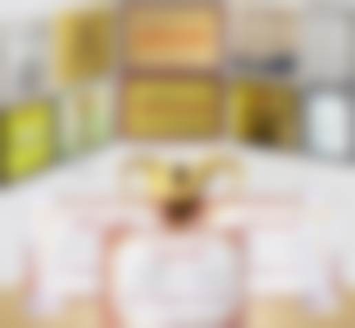 樊太平医生执医荣誉