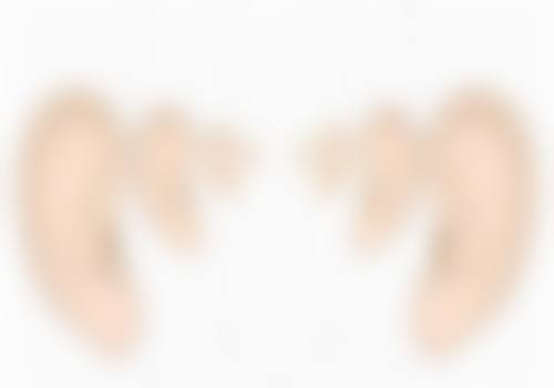 聂丽丽医生预约挂号