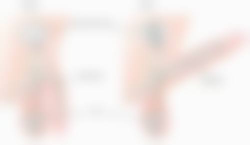 上海金高中医和西医结合医院地址电话、营业时间