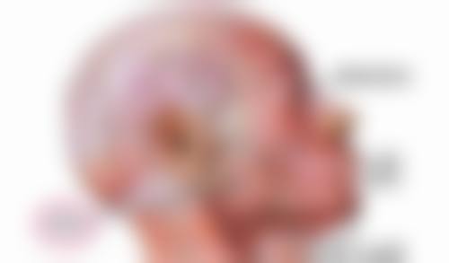 叶家静医生口碑评价及反馈内容