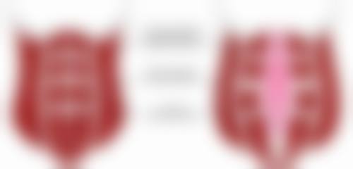 张恩祥医生执医荣誉