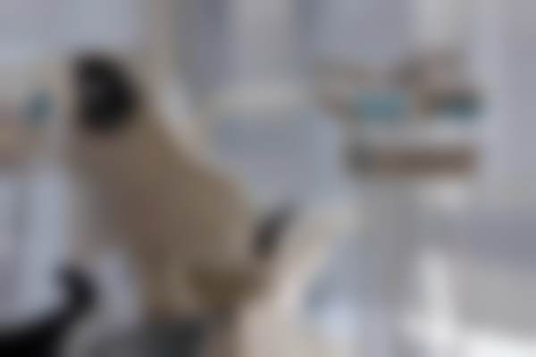 南京思美尔口腔诊所诊室