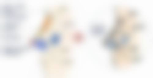 梁胜文医生执医荣誉