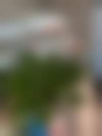 北京金燕子医疗美容诊所医疗环境与配套设施