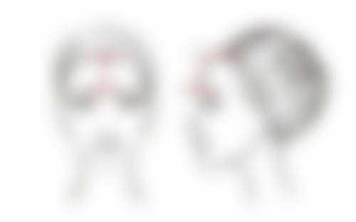 皮埃尔·纳伊姆博士执医荣誉