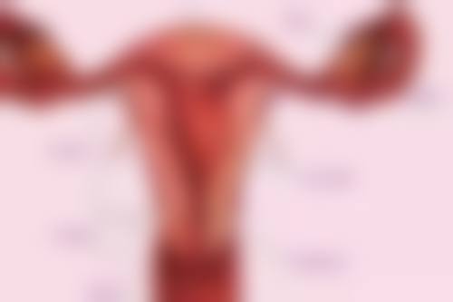 李传吉医生执医荣誉