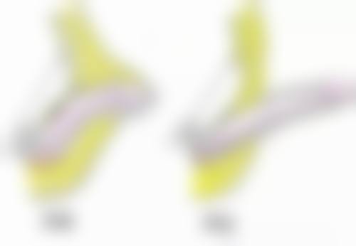 特色项目与技术:突出抗衰优势