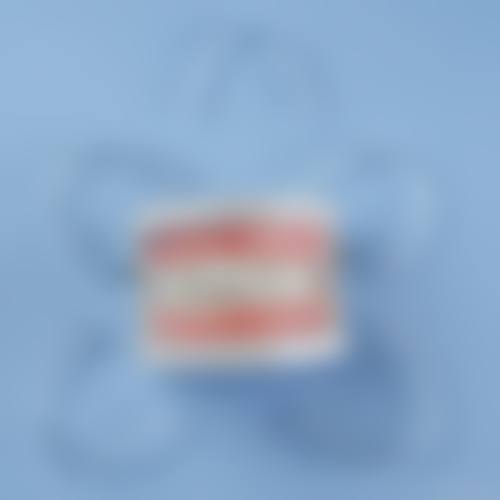专精团队与特色项目