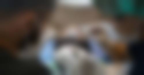 沈阳毛发移植及再生研究中 心收费价格表