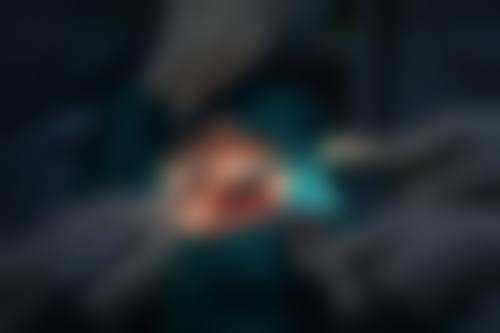 擅长项目详解