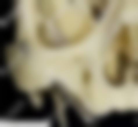 常见问题解答