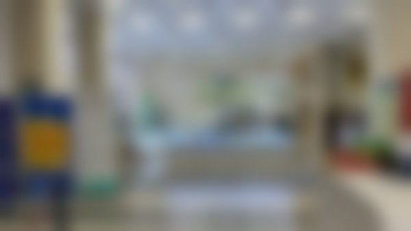 六、常见问题（FAQ）