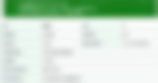 擅长项目详解