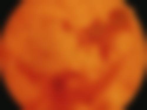 常见问题解答（FAQ）