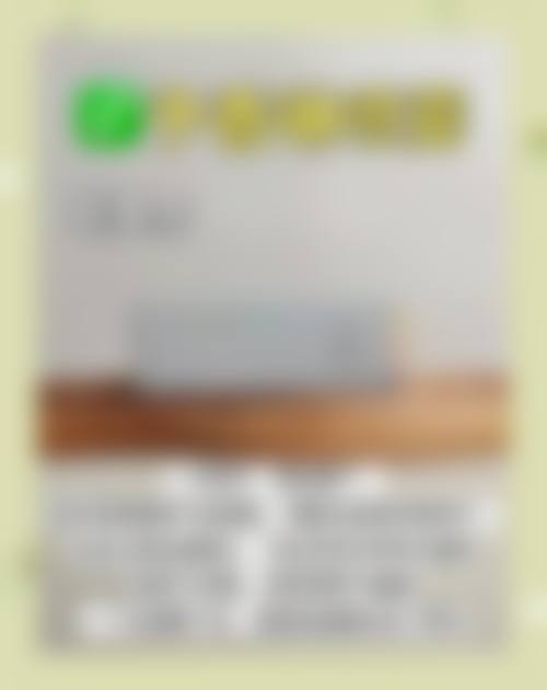 擅长项目详解