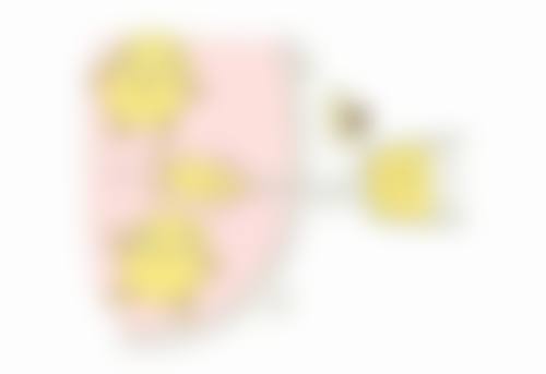 吴庆林医生技术优势