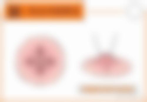 医院资质与专精实力
